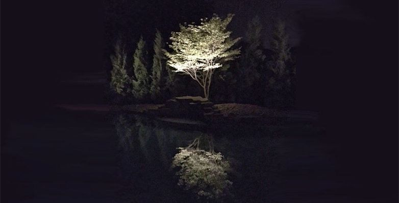 ZZ 52.1 Borell – tree by pond